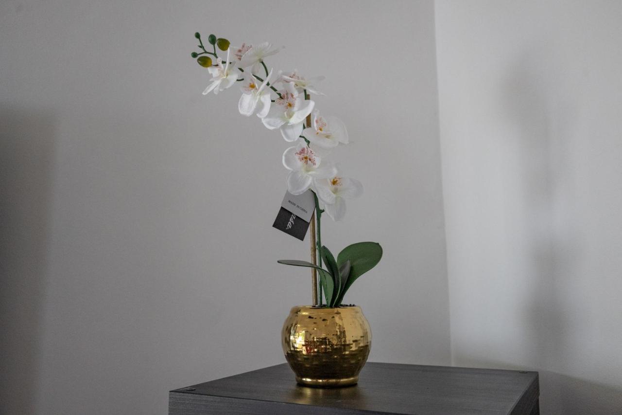 London - 4 Bed - Sleeps 8 - Garden - Pet Friendly Londres Exterior foto